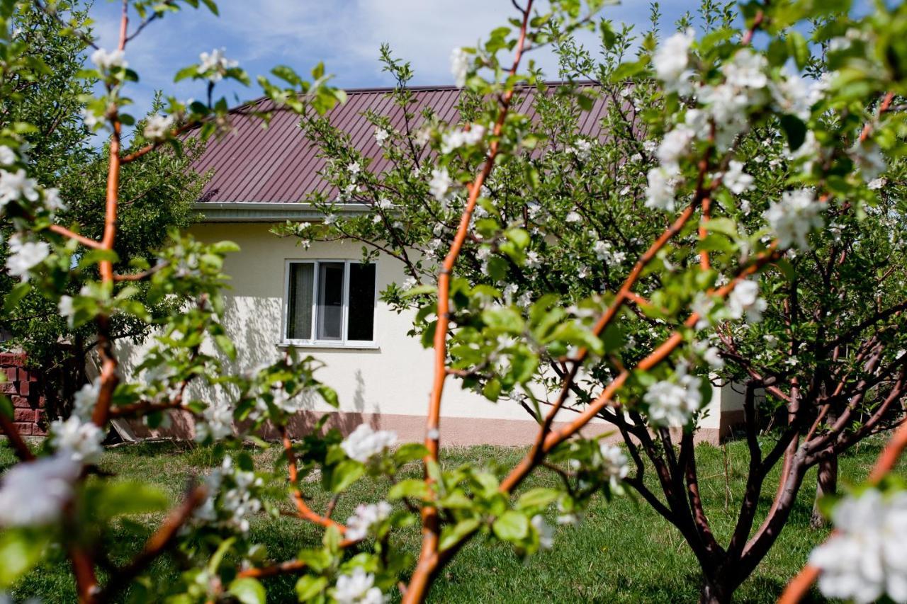 Barskoon Guest House Exteriör bild